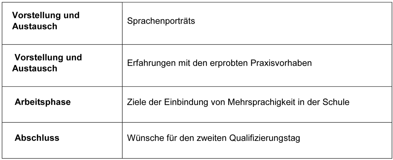 
		  Die Erfahrungen mit den Sprachenporträts und den erprobten Praxisvorhaben werden vorgestellt und diskutiert. In einer Arbeitsphase werden Ziele der Einbindung von Mehrsprachigkeit in der Schule formuliert. Zum Abschluss nennen die Teilnehmenden ihre Wünsche für den zweiten Qualifizierungstag.
		  