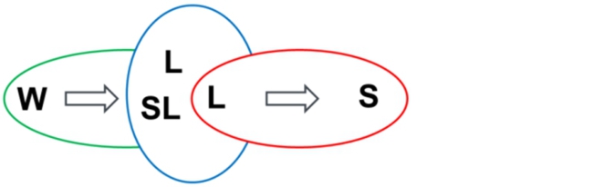 Auf der linken Seite befindet sich eine grüne horizontale Ellipse, welche mit einem „W“ in ihrer linken Ecke gekennzeichnet ist. Ein Pfeil in dieser Ellipse schließt sich an das „W“ an und deutet auf die folgende mittlere vertikale blaue Ellipse, welche in die grüne Ellipse hineinragt. Die sich in der Mitte befindende vertikale blaue Ellipse trägt auf ihrer Oberseite ein „L“ und ein darunter liegendes „SL“ in sich. Überschnitten wird die blaue Ellipse von der rechts angeordneten roten horizontalen Ellipse. Diese enthält in ihrer linken Ecke ein „L“ und einen sich anschließenden Pfeil, welcher auf ein „S“ in der rechten Ecke der roten Ellipse zeigt.