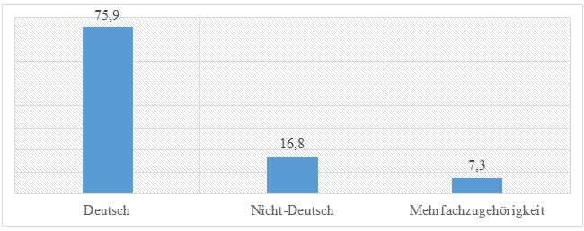 Ein Säulendiagramm stellt den herkunftskulturellen Hintergrund in absteigender Reihenfolge (von links nach rechts) der ErzieherInnen dar.